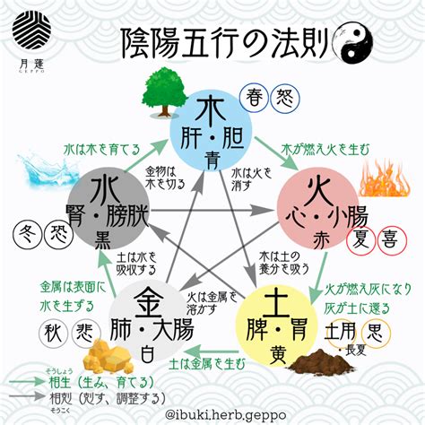 陰陽法則|「陰陽五行説」とは？